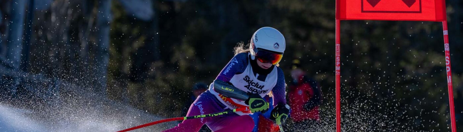 Ski-Rennläuferin passiert ein Riesentorlauf-Tor | © Albert Reiter