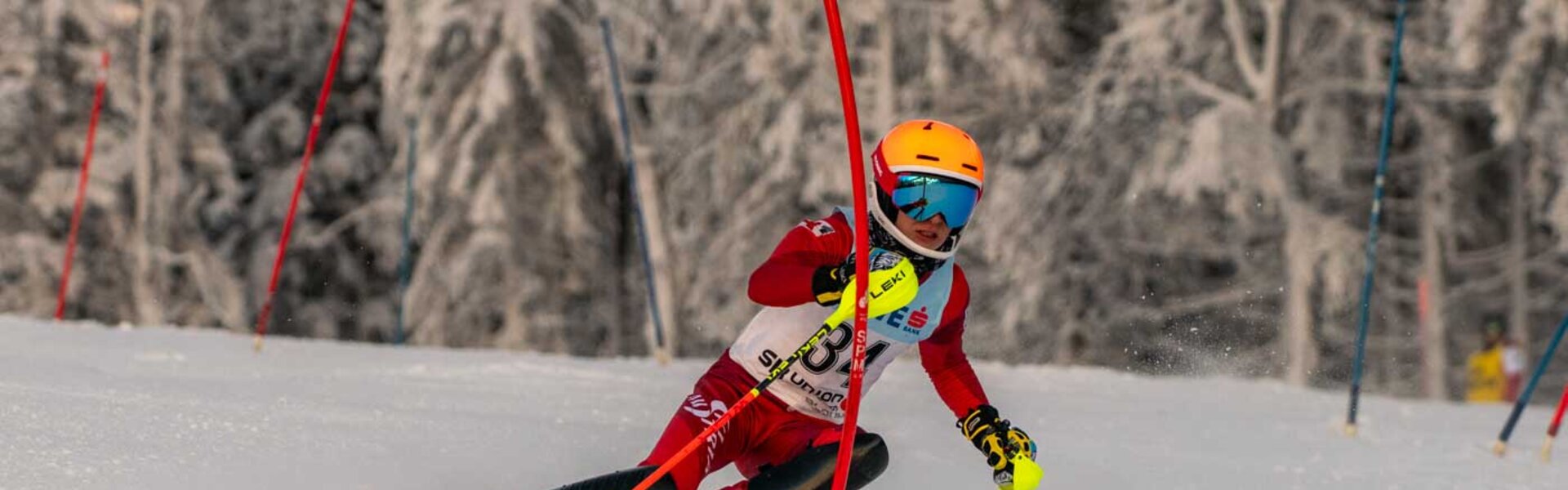 Skirennläufer passiert Slalom-Tor | © Albert Reiter