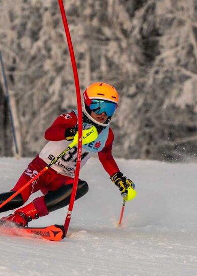 Skirennläufer passiert Slalom-Tor | © Albert Reiter